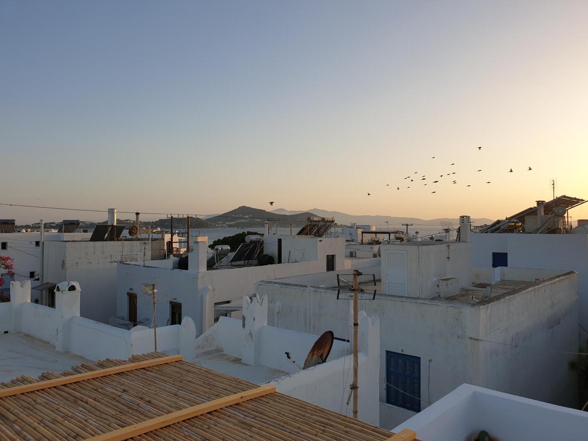 My Island Homes And Residence Naxos City Номер фото
